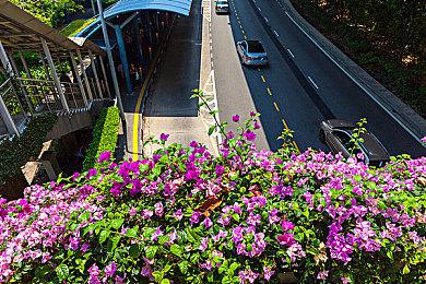 《魔岩山传说》1月15日登陆Switch 经典迷宫探索RPG